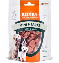 Maius koertele Boxby Mini Hearts naturaalne, kanaliha ja kalaga, 100 g hind ja info | Maiustused koertele | kaup24.ee