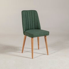 Обеденный стул Kalune Design 869, зеленый цена и информация | Стулья для кухни и столовой | kaup24.ee