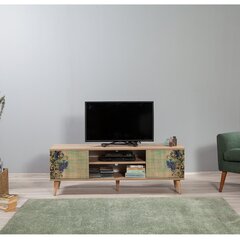 ТВ столик Kalune Design 863(I), зеленый/дуб цена и информация | Тумбы под телевизор | kaup24.ee
