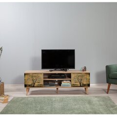 ТВ столик Kalune Design 863(I), дуб/бежевый цена и информация |  Тумбы под телевизор | kaup24.ee
