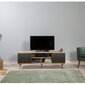 TV-laud Kalune Design 863(I), tumesinine/tamme värv hind ja info | TV alused | kaup24.ee