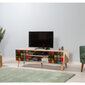 TV-laud Kalune Design 863(I), mitmevärviline/tamme värv hind ja info | TV alused | kaup24.ee