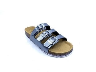 Bioline Sensation sandaalid tumehallid цена и информация | Детские тапочки, домашняя обувь | kaup24.ee