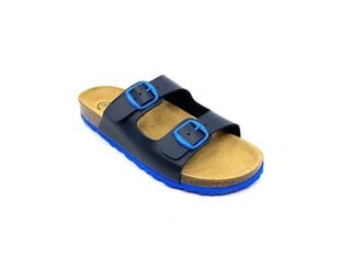 Sandaalid Bioline Junior, sinine цена и информация | Детские тапочки, домашняя обувь | kaup24.ee