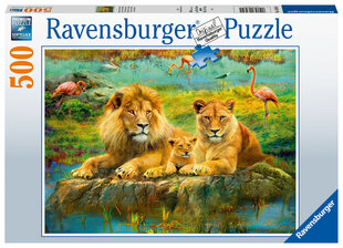 Pusle Ravensburger Lõvid Savannis/Lions in the Savannah, 500-osaline., 16584 hind ja info | Pusled | kaup24.ee