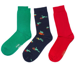 Мужские носки "Кактус" (3 пары в упаковке) цена и информация | Мужские носки | kaup24.ee