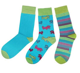 Мужские носки "Хамелеон" (3 пары в упаковке) цена и информация | Носки, колготки для мальчиков | kaup24.ee