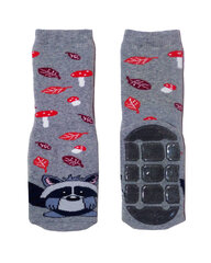 Нескользящие носки для  ползанья «Енот» цена и информация | Колготки, носочки для новорожденных | kaup24.ee