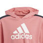 Spordikostüüm Adidas G Hooded Crop Ts Black Pink hind ja info | Komplektid tüdrukutele | kaup24.ee