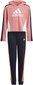 Spordikostüüm Adidas G Hooded Crop Ts Black Pink цена и информация | Komplektid tüdrukutele | kaup24.ee