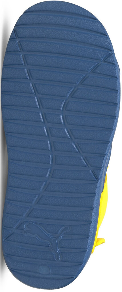 Jalatsid Puma Divecat V2 Injex Yellow Blue цена и информация | Laste sandaalid | kaup24.ee