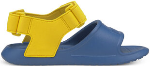 Jalatsid Puma Divecat V2 Injex Yellow Blue цена и информация | Детские сандали | kaup24.ee