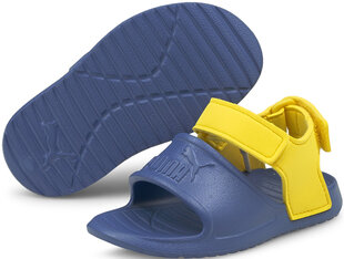 Puma Обувь Divecat V2 Injex Yellow Blue цена и информация | Детские сандалии | kaup24.ee