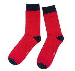 Мужские носки «Гладкие одноцветные» цена и информация | Мужские носки | kaup24.ee