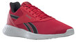 Reebok Jooksmine Jalatsid Lite 2.0 Red hind ja info | Spordi- ja vabaajajalatsid meestele | kaup24.ee