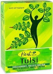 Растительный порошок для кожи головы и волос Hesh Tulsi, 100 г цена и информация | Бальзамы, кондиционеры | kaup24.ee