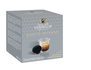 16 tk. Kohvikapslid Lavazza A Modo Mio kohvimasinate, Gran Caffe Garibaldi - Gusto Intenso цена и информация | Кофе, какао | kaup24.ee