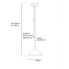 Laelamp G.LUX GM-291/1 hind ja info | Rippvalgustid | kaup24.ee