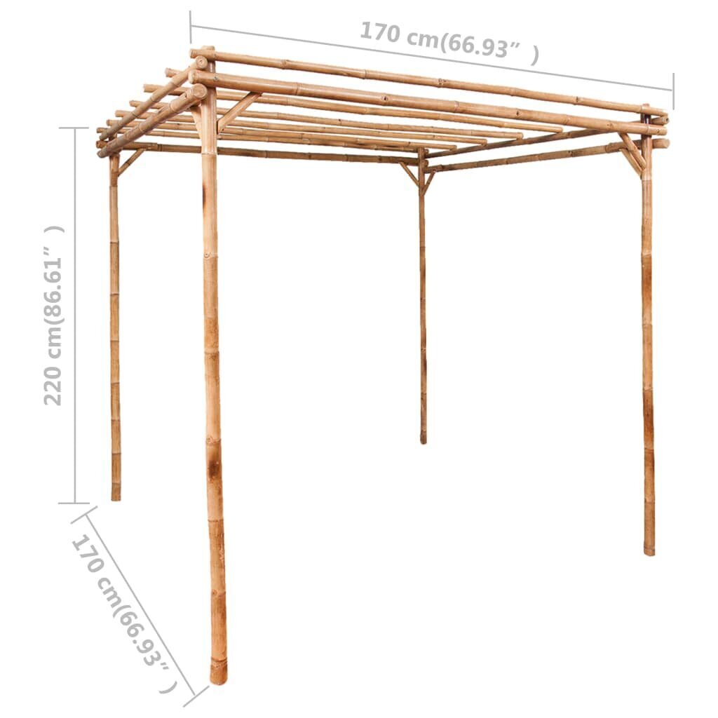 vidaXL lehtla bambusest, 170 x 170 x 220 cm hind ja info | Dekoratsioonid | kaup24.ee