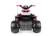 Laste elektriline maastikuauto Peg Perego Corral T-Rex 330W Pink 12V, roosa hind ja info | Laste elektriautod | kaup24.ee