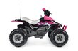 Laste elektriline maastikuauto Peg Perego Corral T-Rex 330W Pink 12V, roosa hind ja info | Laste elektriautod | kaup24.ee