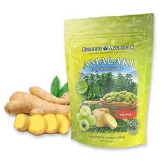 Everest Ayurveda Amalaki Ginger India karusmarja kuivatatud viljad, 100 g hind ja info | Pähklid, seemned, kuivatatud puuviljad | kaup24.ee