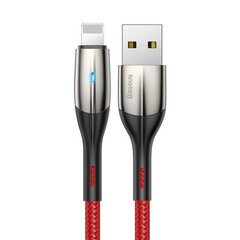 Baseus 2,4A, USB Lightning, 1 m цена и информация | Кабели для телефонов | kaup24.ee