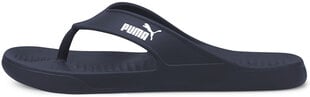 Plätud Puma Agua Flip Peacoat Blue цена и информация | Мужские шлепанцы, босоножки | kaup24.ee