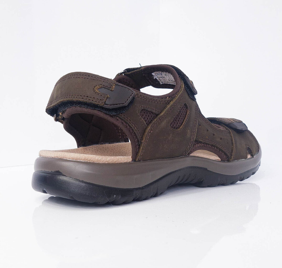 Sandaalid Dk Sando Brown hind ja info | Meeste plätud, sussid | kaup24.ee