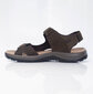 Sandaalid Dk Sando Brown hind ja info | Meeste plätud, sussid | kaup24.ee