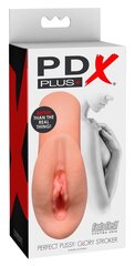 PDX Plus masturbaator Perfect Pussy: Glory Stroker hind ja info | Sekslelud, masturbaatorid | kaup24.ee