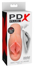 PDX Plus masturbaator Perfect Pussy: XTC Stroker hind ja info | Sekslelud, masturbaatorid | kaup24.ee