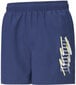 Lühikesed püksid Puma Ess + Summer Short Blue цена и информация | Meeste lühikesed püksid | kaup24.ee