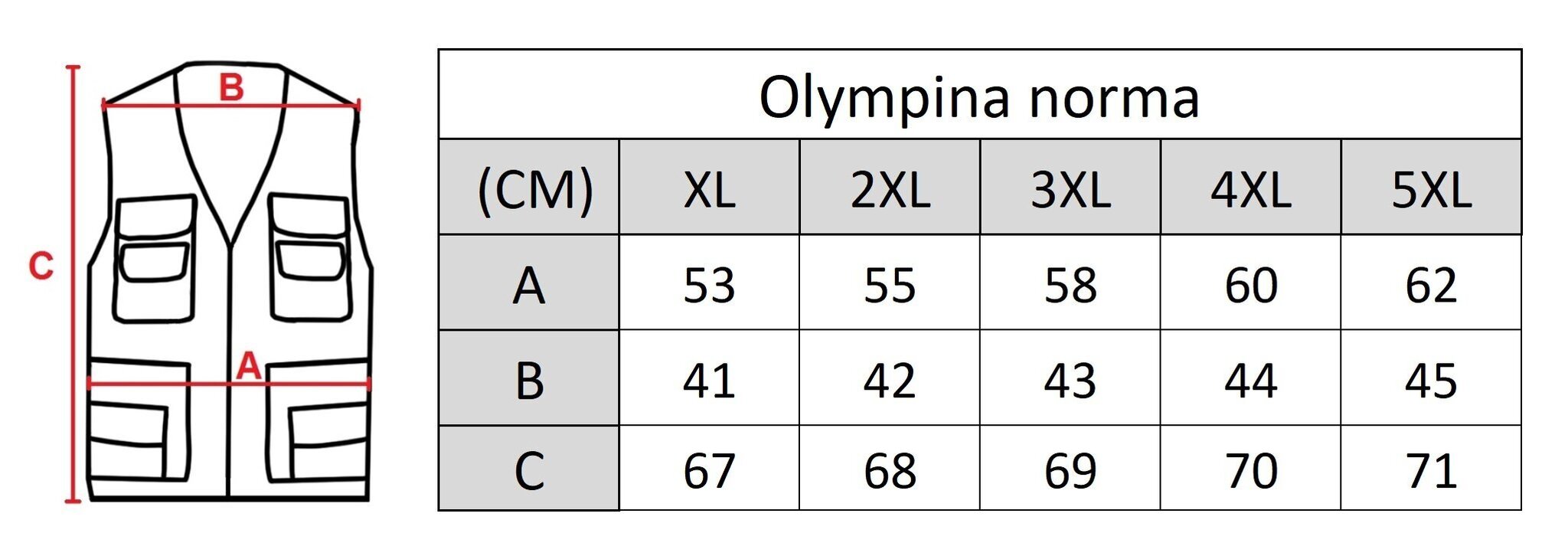 Meeste vest Olympina 2302-GM, pruun hind ja info | Meeste vestid | kaup24.ee