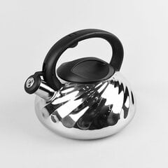 Эмалированный чайник 3,0Л Маэстро MR-1321, серебристый цена и информация | Чайники, кофейники | kaup24.ee