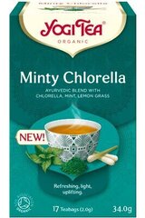 Maitsestatud tee Yogi Tea Minty Klorella, 17x2 g hind ja info | Tee | kaup24.ee