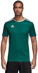 Meeste T-särk Adidas, roheline hind ja info | Meeste T-särgid | kaup24.ee