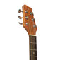 Elektroakustiline kitarr Stagg SA25 DCE MAHO hind ja info | Kitarrid | kaup24.ee