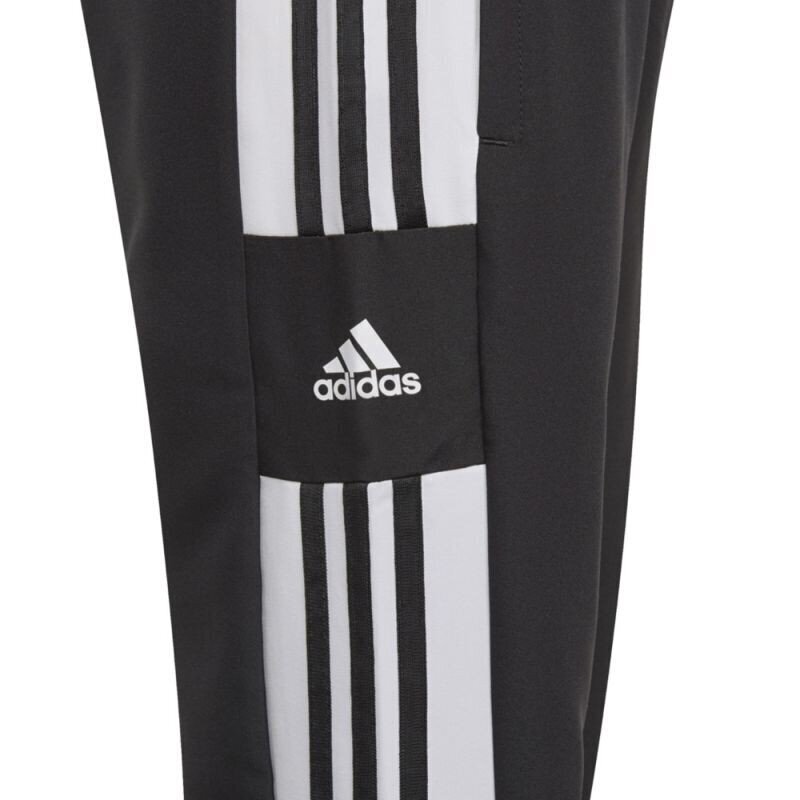 Meeste spordipüksid Adidas Squadra 21 Pre Pant Jr GK9559 hind ja info | Poiste püksid | kaup24.ee