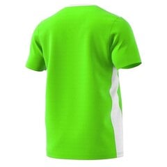 Meeste T-särk Adidas Entrada 18 Jersey, roheline hind ja info | Meeste spordiriided | kaup24.ee