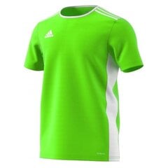 Футболка мужская Adidas Entrada 18 Jersey, зеленая цена и информация | Мужская спортивная одежда | kaup24.ee