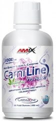Amix Nutrition CarniLine ProActive 20 g 480 ml hind ja info | L-karnitiin | kaup24.ee