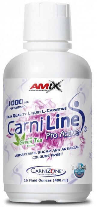 Amix Nutrition CarniLine ProActive 20 g 480 ml hind ja info | L-karnitiin | kaup24.ee