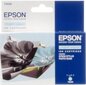 Epson UltraChrome K3 Singlepack T0595 Li цена и информация | Tindiprinteri kassetid | kaup24.ee