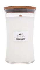 WoodWick lõhnaküünal White Tea & Jasmine, 609,5 g цена и информация | Подсвечники, свечи | kaup24.ee
