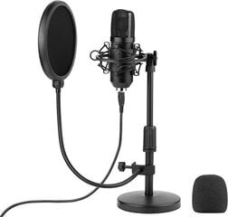 Tracer Studio Pro USB mikrofon mängude / taskuhäälingusaadete / voogesituste jaoks + hoidik, popfilter цена и информация | Микрофоны | kaup24.ee