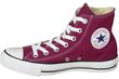 Meeste spordijalatsid Converse C. Taylor All Star Hi, punane цена и информация | Spordi- ja vabaajajalatsid meestele | kaup24.ee