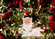Parfüümvesi Dolce & Gabbana Dolce Rosa Excelsa EDP naistele 30 ml цена и информация | Naiste parfüümid | kaup24.ee