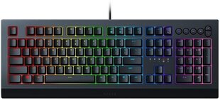 Razer Cynosa V2 цена и информация | Клавиатуры | kaup24.ee