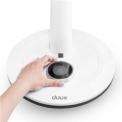 Ventilaator Duux Whisper DXCF03 цена и информация | Вентиляторы | kaup24.ee